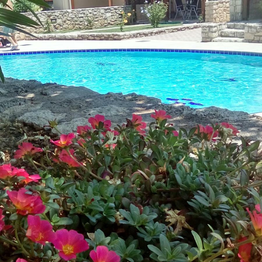 Villa Stella D'Oro Georgioupoli Zewnętrze zdjęcie
